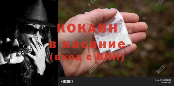 сатива Володарск