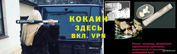 СК Волоколамск