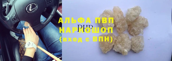 ГАЛЛЮЦИНОГЕННЫЕ ГРИБЫ Верея