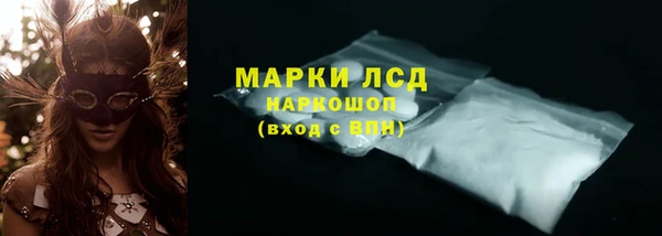 сатива Володарск