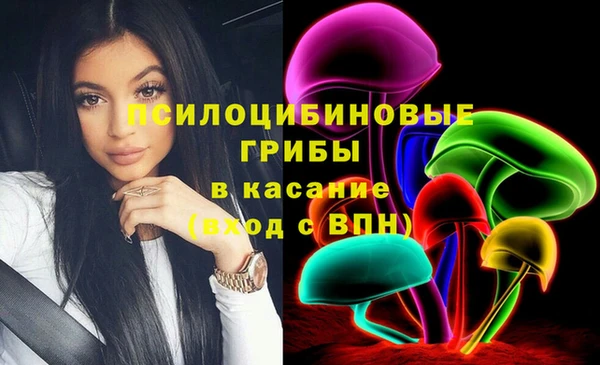 сатива Володарск