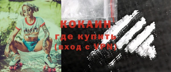 СК Волоколамск