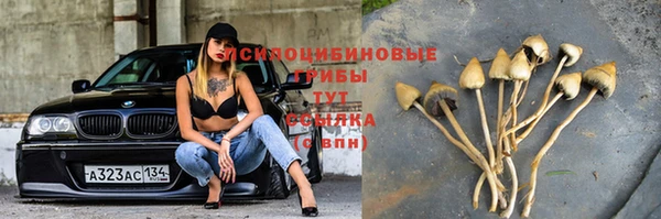 СК Волоколамск