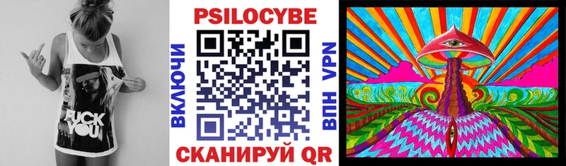 цена наркотик  Нижнекамск  Псилоцибиновые грибы ЛСД 